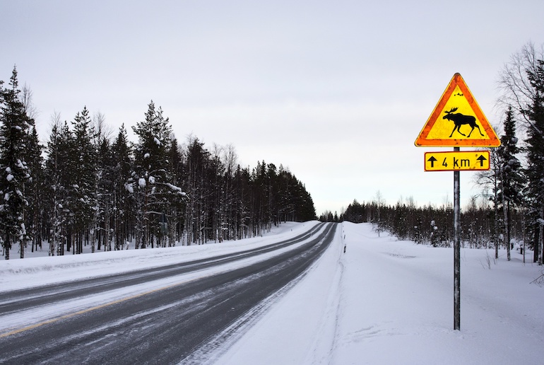 Look out for reindeer and moose on the road if you're driving from Helsinki to Rovaniemi.