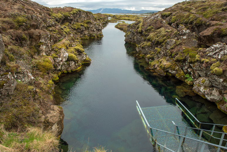 You can dive in the Silfra fissure in Iceland
