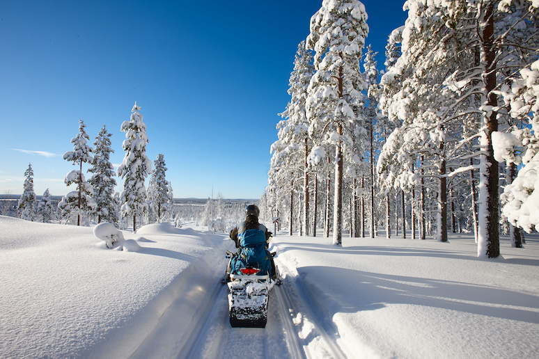 Explore the pine forest and frozen lakes around Levi in Finland by snowmobile.