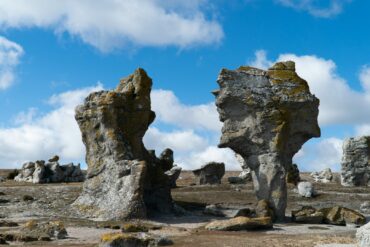 rock formations on the dry sea in Gotland Sweden