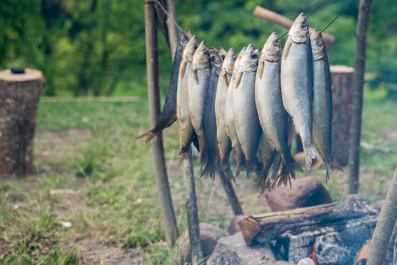The Vikings ate a lot of fish, which they smoked or preserved in salt.