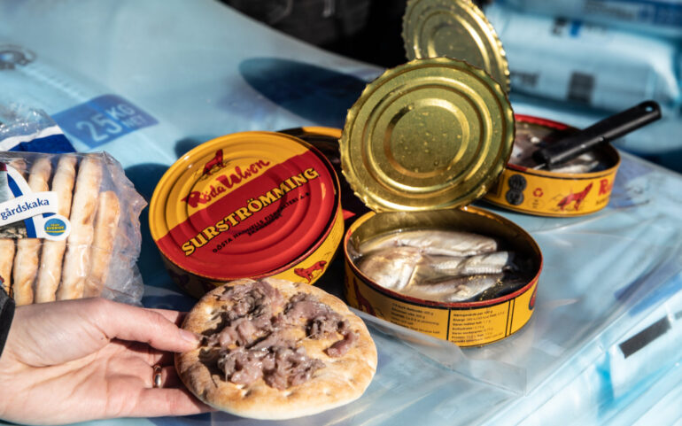 Surströmming: trying Sweden's stinky 'rotten' fish - Routes North
