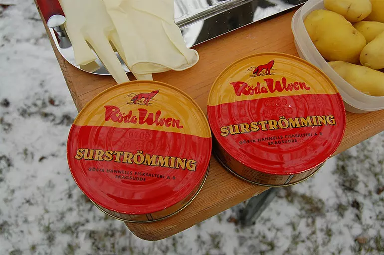 Surströmming or Sour Herring Season in Sweden 2024 –