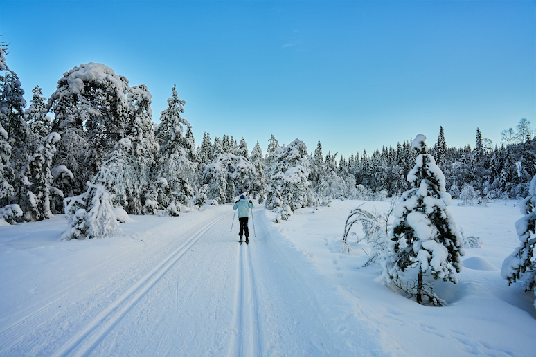Oslo has some great cross-country and Alpine ski pistes – all less than an hour from the city.