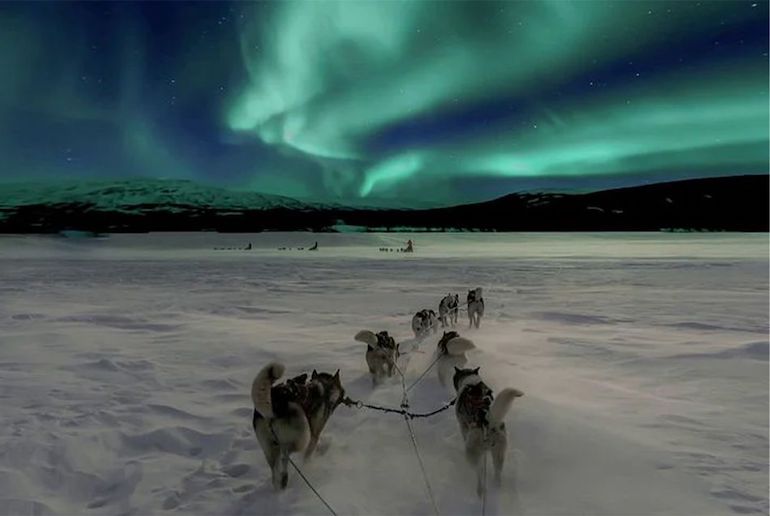 You can see the northern lights on a dog sled tour in Rovaniemi in Finland