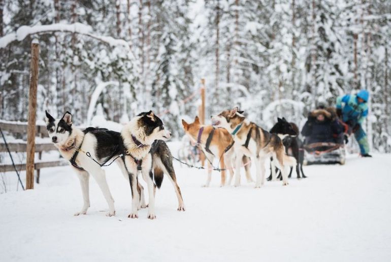 There's usually snow in Rovaniemi in Finland from December to mid-April