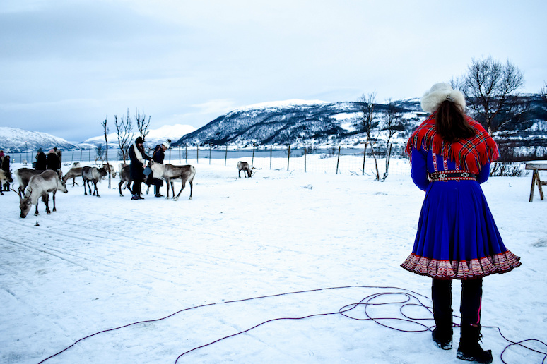 The Sami ahve been herding reindeer in northern Norway for hundreds of years