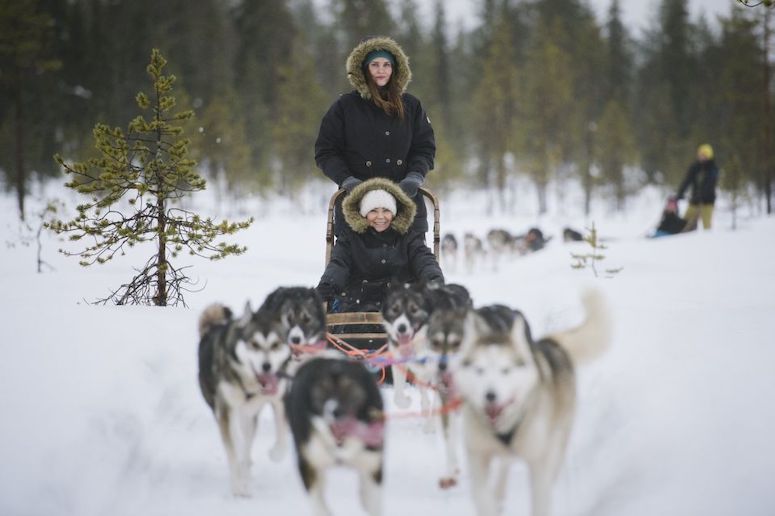 Learn how to "mush" a husky in Rovaniemi, Finland.