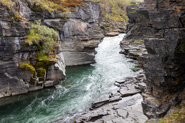 You can walk to the Abiskojakka canyon in Sweden's Abisko National Park