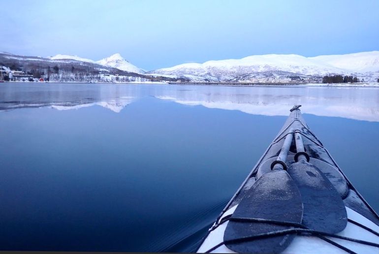 You can see wildlife such as sea eagles and otters on a wildlife kayak tour from Tromso