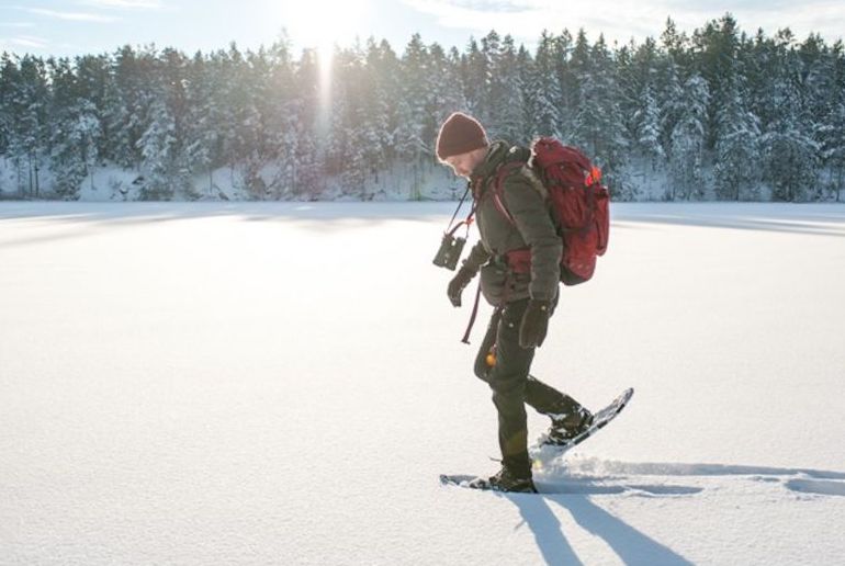 Go snowshoeing on a mini-bus tour from Stockholm