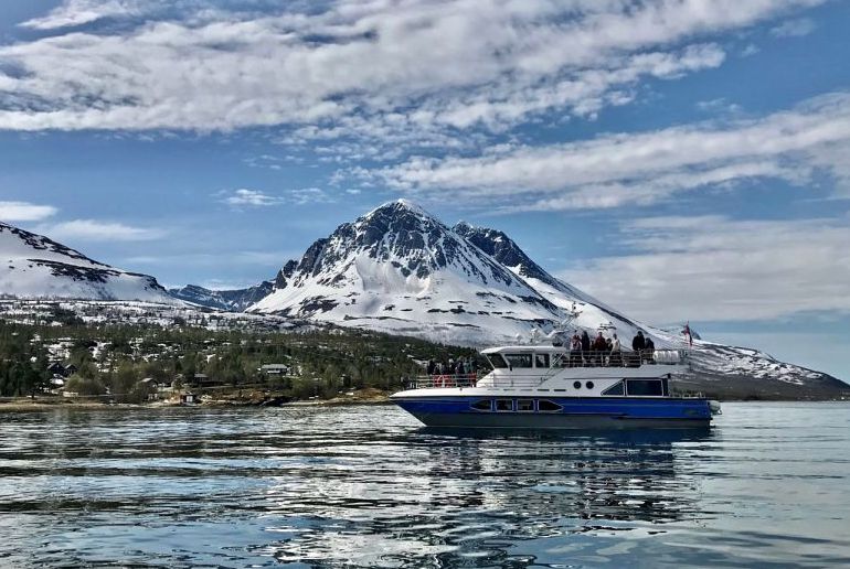 Go on a wildlife on a boat tour from Tromoso
