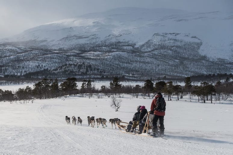 Kiruna makes a great base to go husky sledging and snowshoeing.