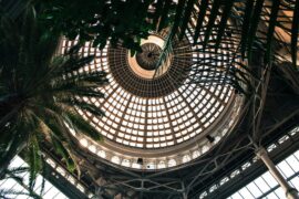 glass dome roof with plants