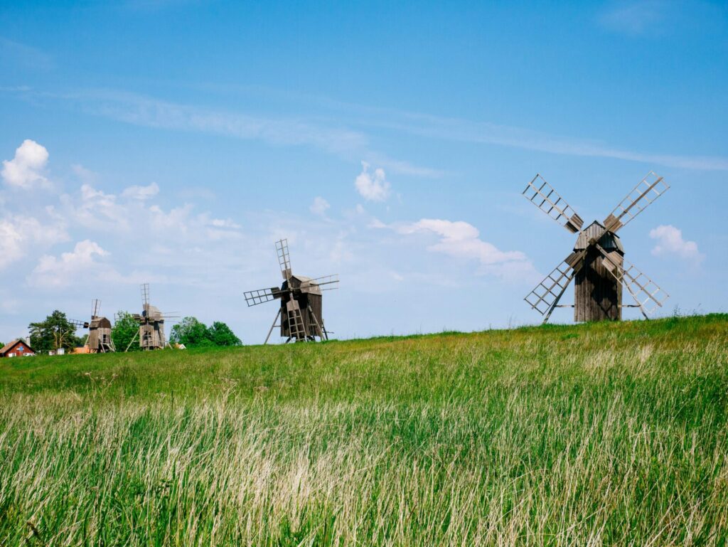 meadow with wind mills