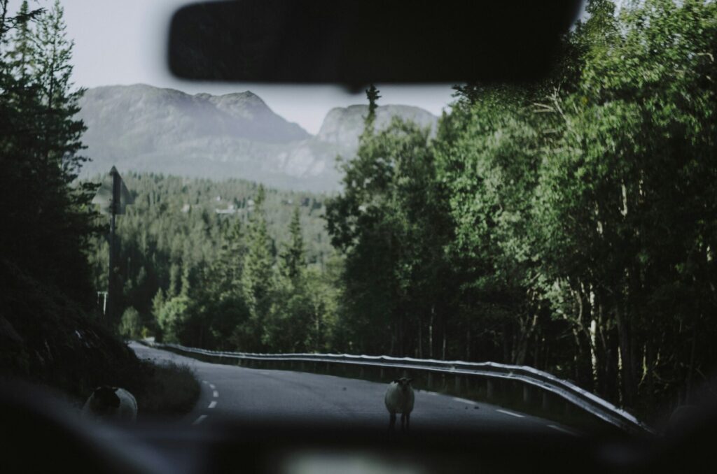 mountains seen from car