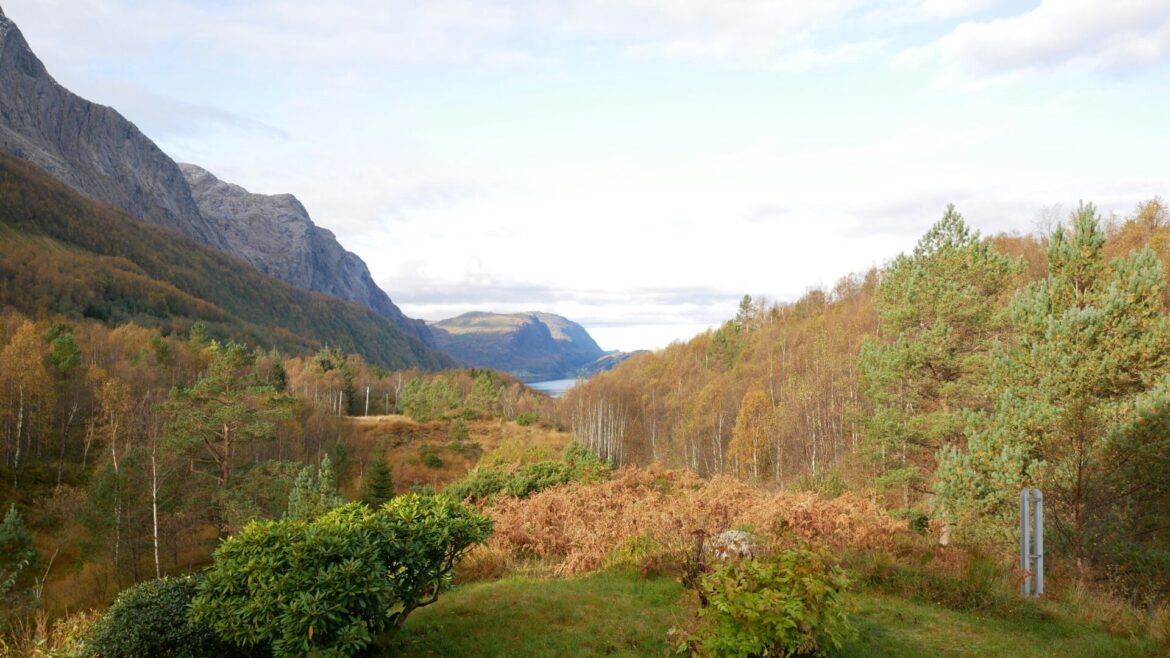 autumn colours in valleu